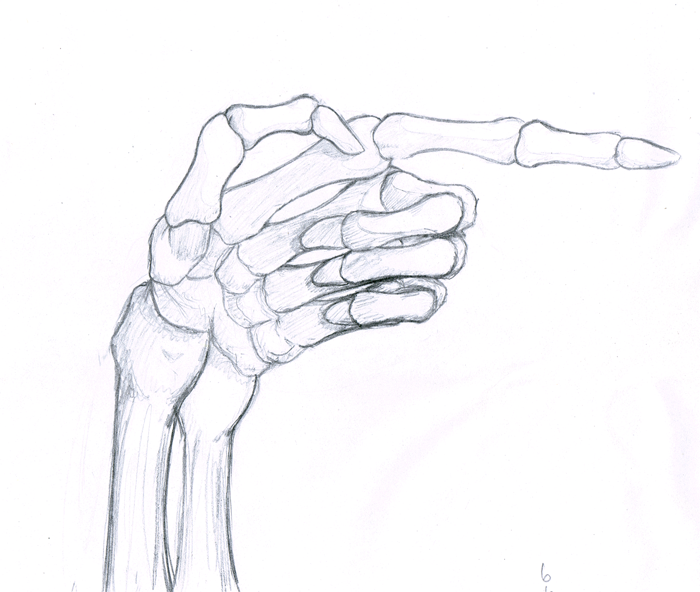 700x592 Skeleton Hand Sketch By Sapheron Art - Skeleton Hand Sketch