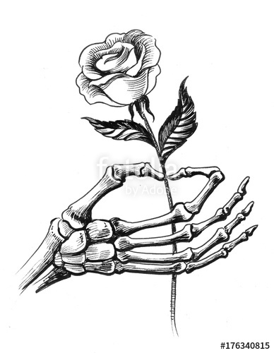 388x500 Skeleton Hand Holding A Rose Stock Photo And Royalty Free Images - Skeleton Hand Sketch