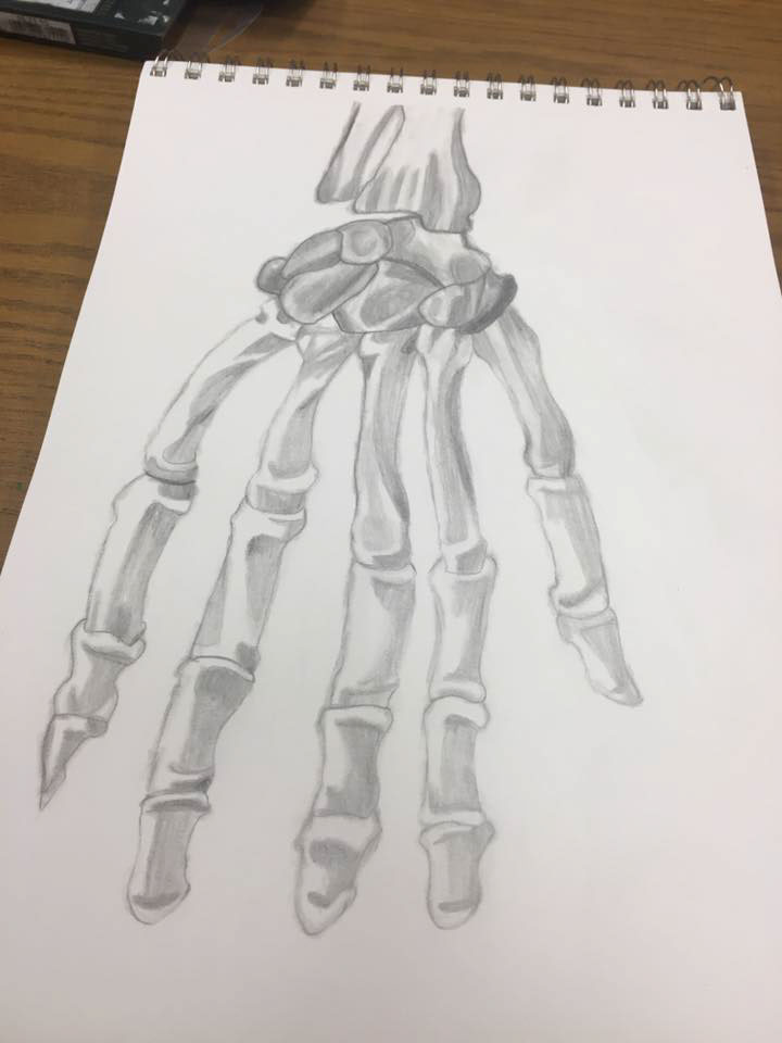 720x960 Skeleton Hand Sketch On Behance - Skeleton Hand Sketch