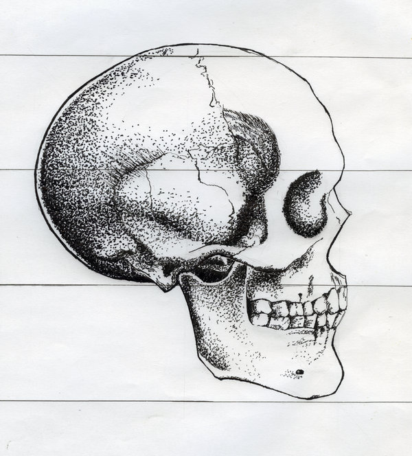 Skeleton Head Sketch