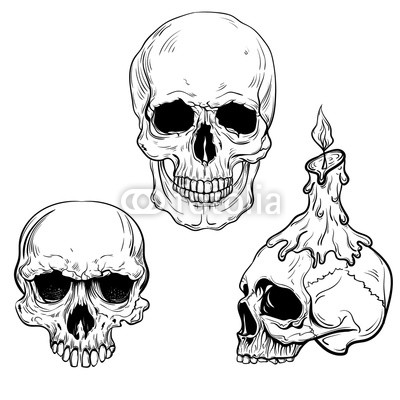 400x400 Hand Drawn Vector Death Scary Human Skulls Collection. Skeleton - Skeleton Head Sketch