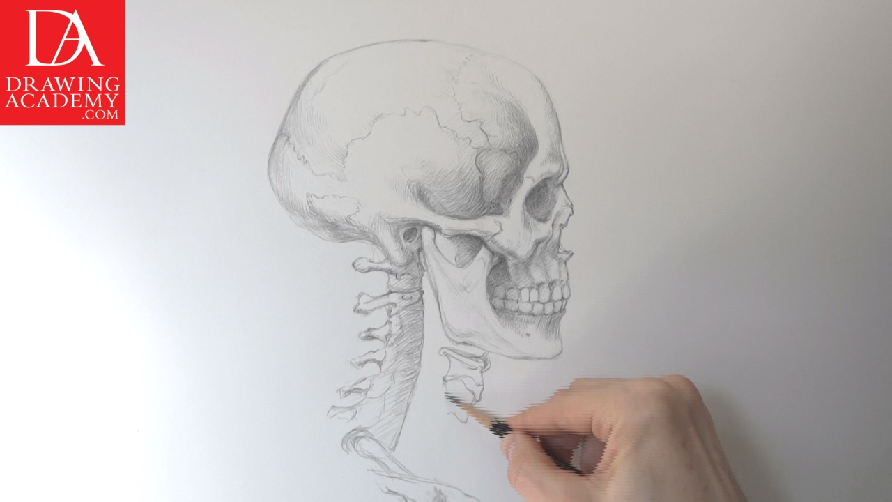 1280x720 How To Draw A Skull - Skeleton Head Sketch
