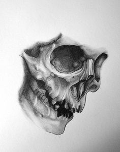 236x299 A Beautiful Skull Sketch. Skulls - Skeleton Head Sketch