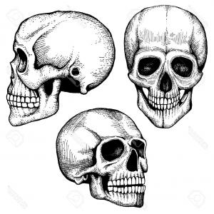300x300 Photostock Vector Hand Drawn Vector Death Scary Human Skulls - Skeleton Head Sketch