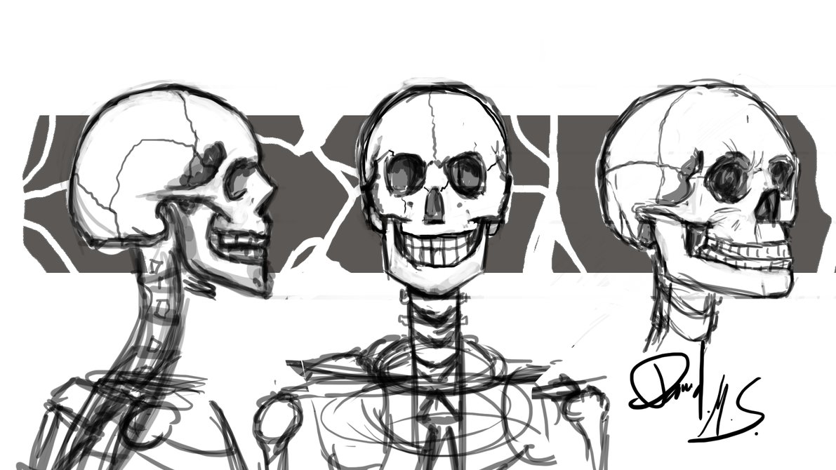 1191x670 Skeleton Head Sketch By David5154 - Skeleton Head Sketch