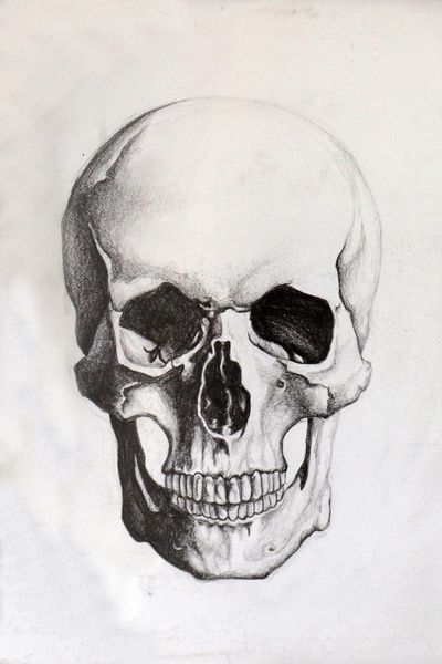 400x600 Skull Sketch Tattoo Drawings, Skull Art And Skull - Skeleton Head Sketch