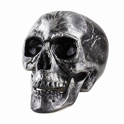 425x425 Gonear Human Head Skull Sketch Model Statue Sculpture - Skeleton Head Sketch