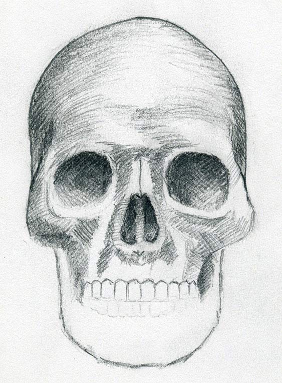 563x764 Draw Skulls Can Be This Easy - Skeleton Head Sketch