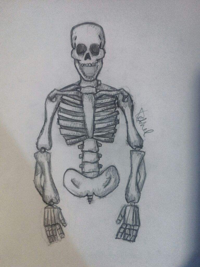 768x1024 Skeleton Sketch Undertale Amino - Skeleton Sketch