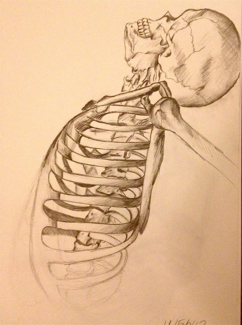773x1034 Skeleton Sketch By Georgiethomas7 - Skeleton Sketch