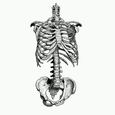 400x400 Sketch Art, Pencil Drawings Tag Skeleton Archives - Skeleton Sketch