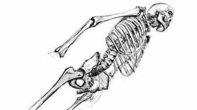 402x226 Skeleton Sketch Royalty Free Video And Stock Footage - Skeleton Sketch