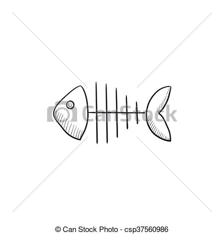 450x470 Fish Skeleton Sketch Icon. Fish Skeleton Vector Sketch Icon - Skeleton Sketch