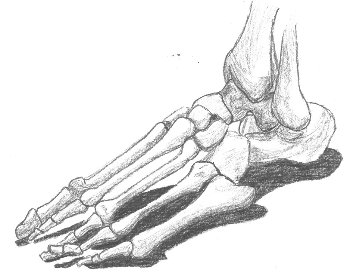 1152x928 Collection Of Skeleton Feet Drawing Easy High Quality, Free - Skeleton Sketch Easy
