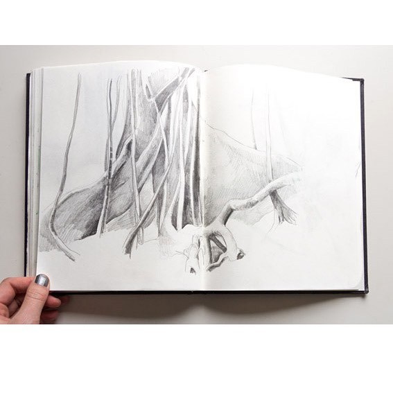 567x567 Miammmiam Inspiration Exotic Flower. Old Sketch Book From - Sketch 2015