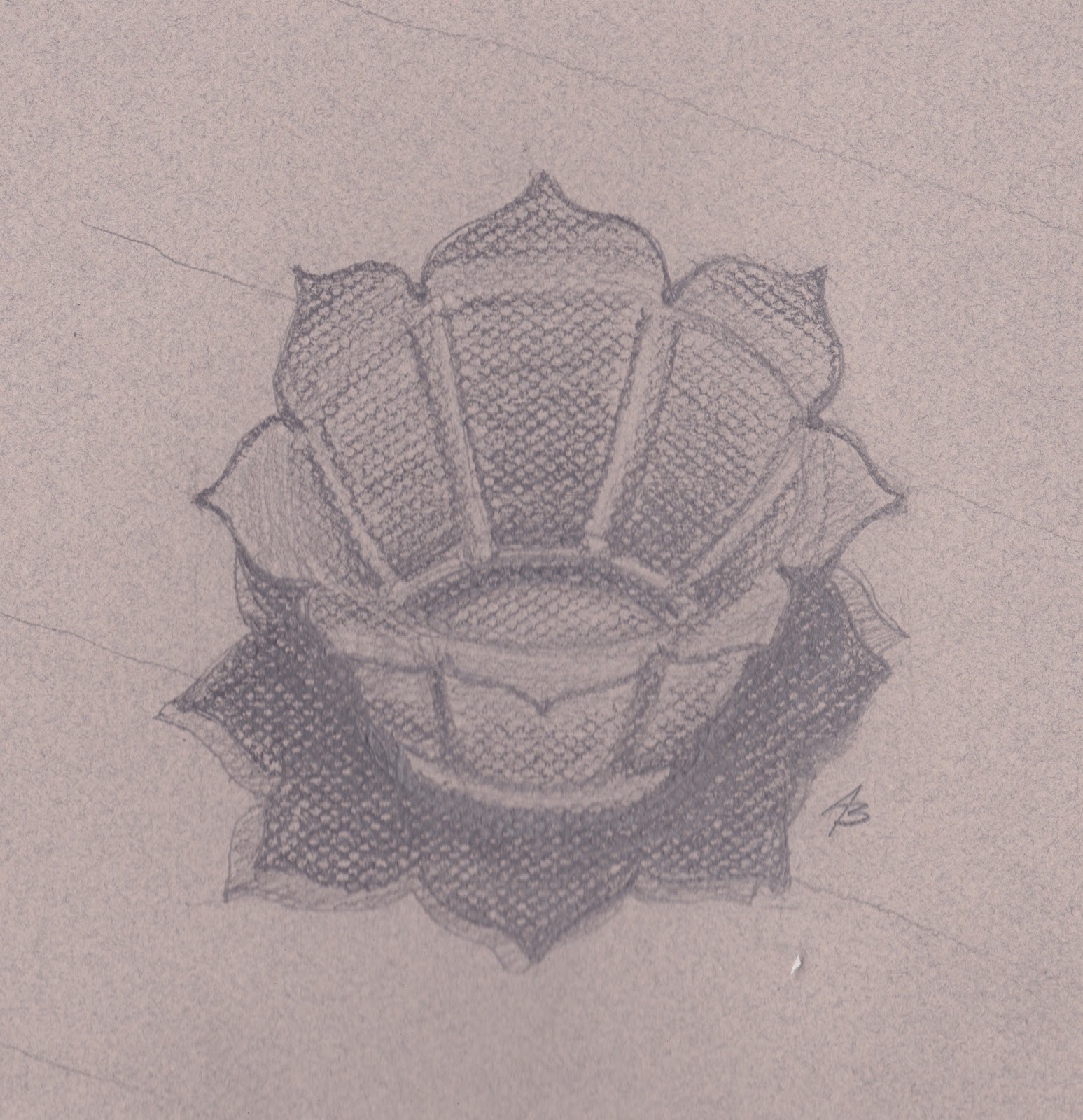 1547x1600 Tight Line - Sketch 42