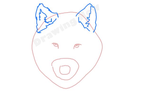 600x400 How To Draw A Wolf Face - Sketch A Wolf