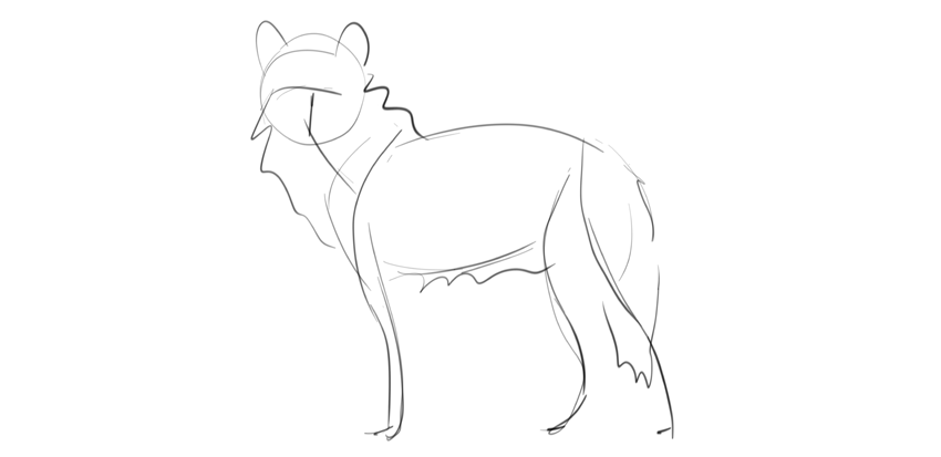 850x413 How To Draw A Wolf Step By Step - Sketch A Wolf
