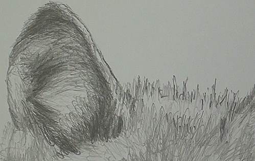 499x315 How To Draw A Wolf In Pencil Online Art Lessons - Sketch A Wolf