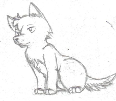 481x420 Tag For How To Draw A Wolf Puppy How To Draw A Wolf Easy Things - Sketch A Wolf