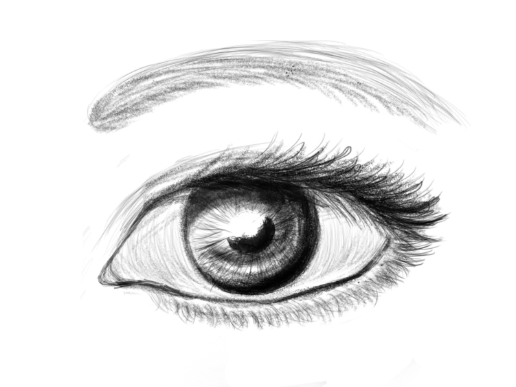 751x563 Tablet Sketch Drawing From Memory Blog Sue Feng Design - Sketch And Draw