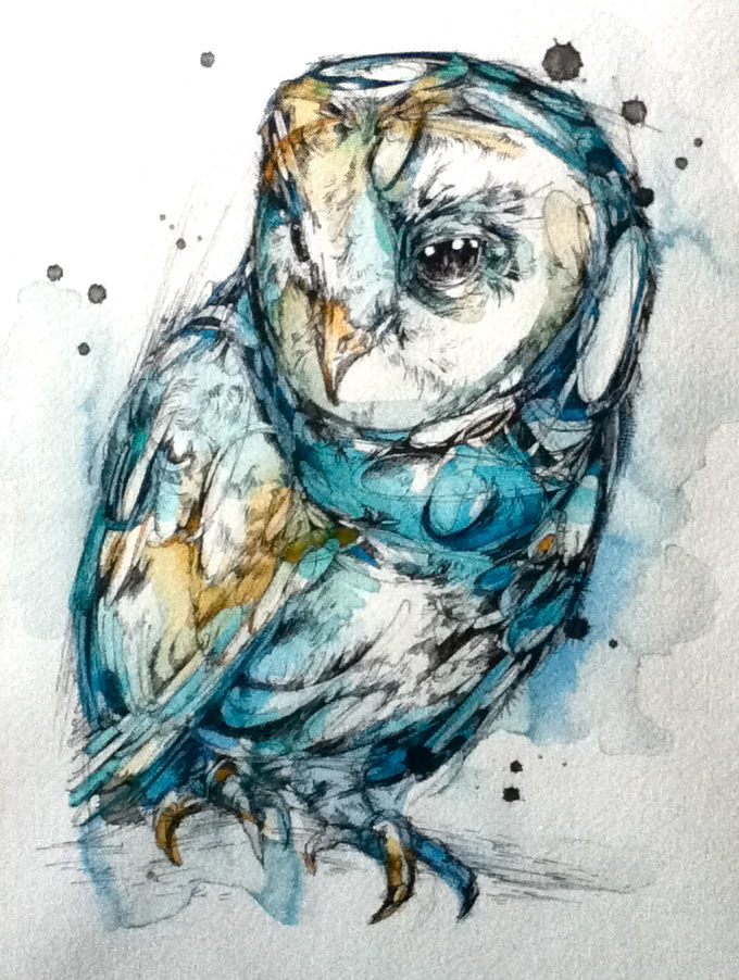 680x902 Owl Animal Illustration Design Sketch Painting Drawing Nature - Sketch And Paint