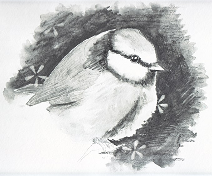 680x566 How To Sketch With Line Amp Wash Cass Art - Sketch And Wash