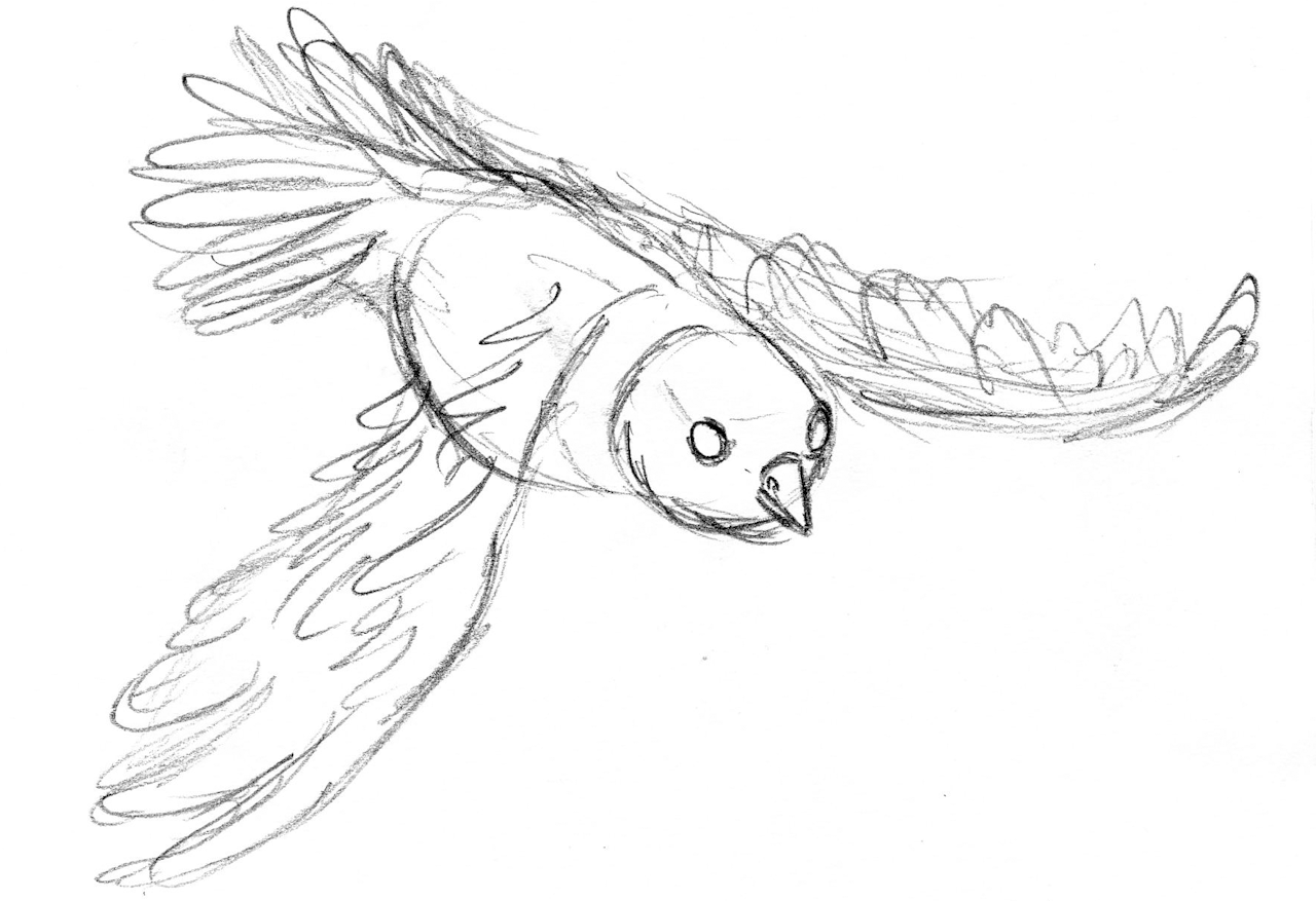 1280x877 Gif Animation Sketch Flight - Sketch Animated Gif