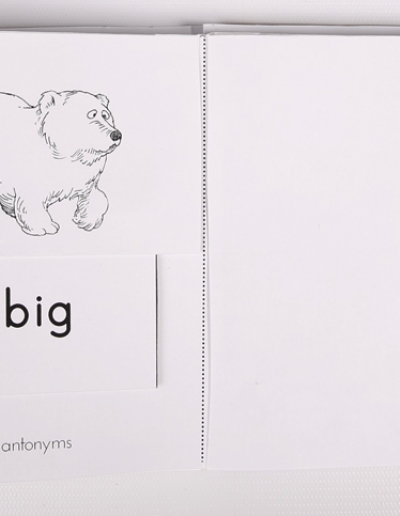 400x516 Side By Side - Sketch Antonym