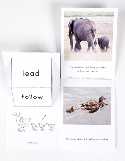 400x516 Side By Side - Sketch Antonym