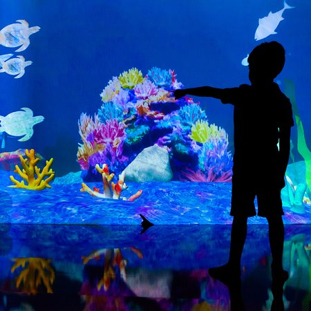 450x450 Sketch Aquarium In Future Park Gallery - Sketch Aquarium