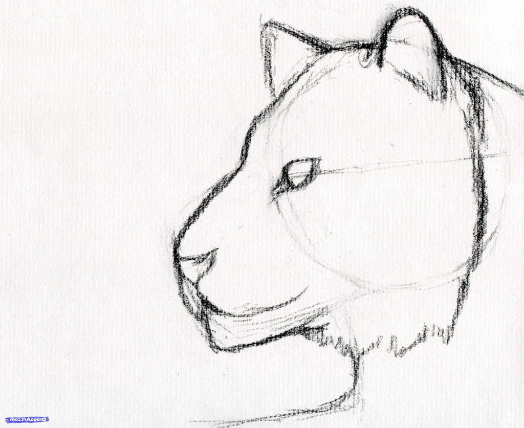 1024x837 Pencil Drawing Step Beginner Art Pictures - Sketch Art For Beginners