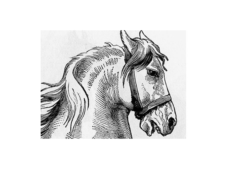 899x670 Pencil Sketch Art For Beginners Classes Other In Colorado - Sketch Art For Beginners