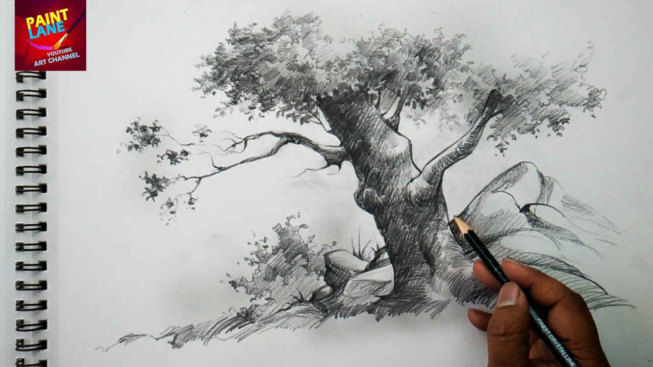 1280x720 Basic Sketch And Shade A Tree With Pencil Pencil Art - Sketch Art Images