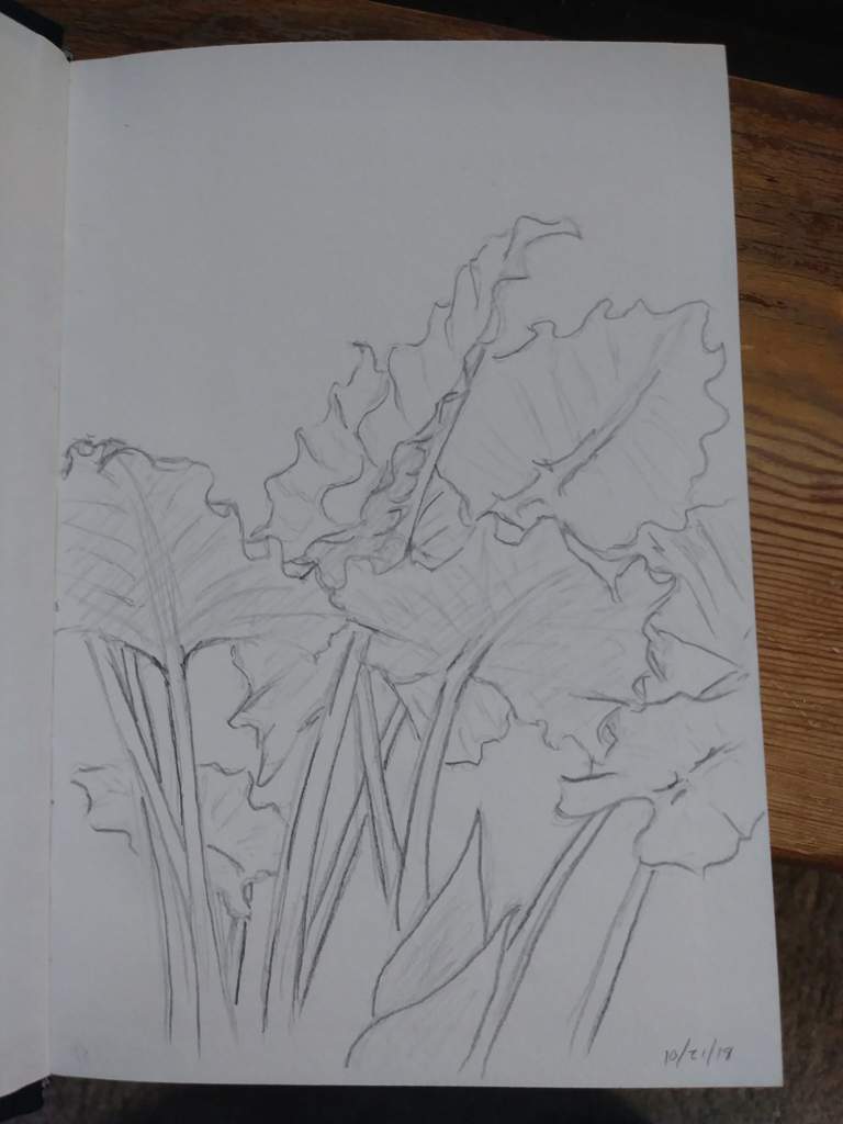 768x1024 Sketch From Life Art Amino - Sketch Art Pictures