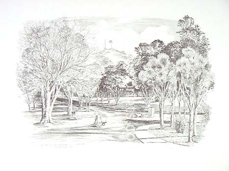 467x350 New Zealand Art Print News Sketches By Peter Arnold - Sketch Art Prints