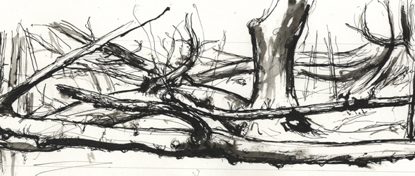 590x250 How To Add Life To Landscapes And Illustrations - Sketch Artist Drawings