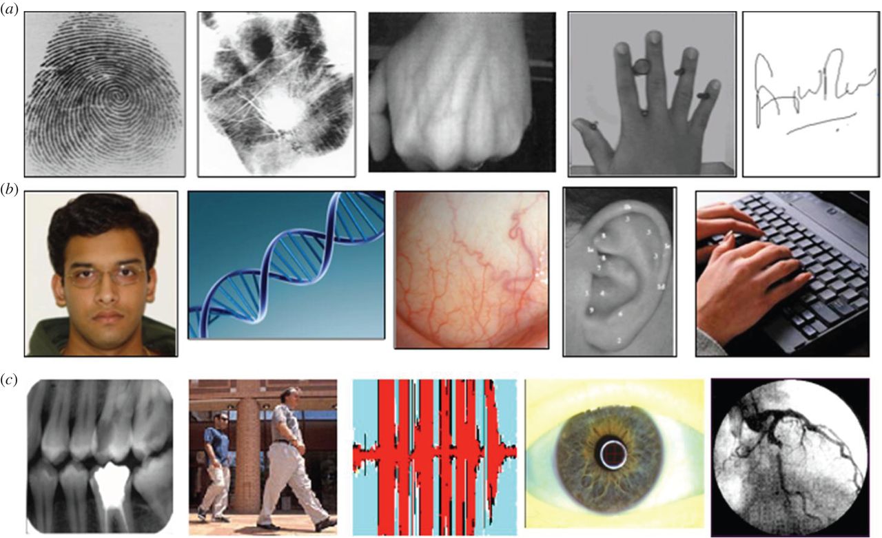 1280x781 Free Police Sketch Artist Software Download - Sketch Artist Software