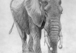 300x210 Famous Sketch Artists Names Famous Artists Drawings With Pencils - Sketch Artists Names