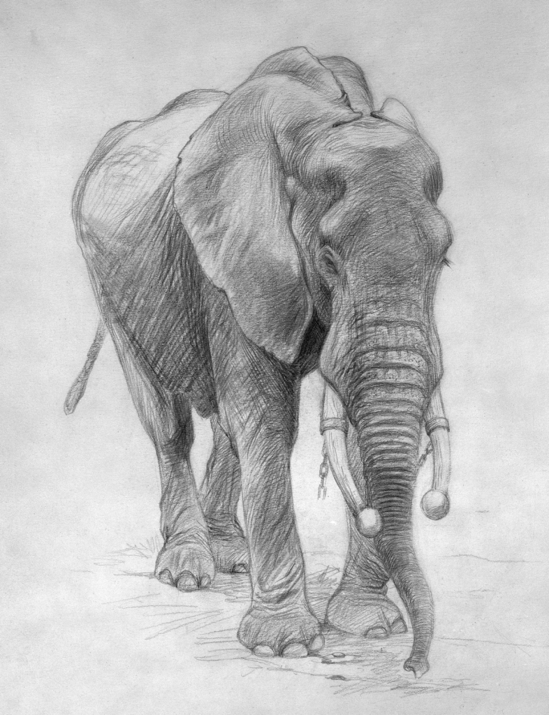 Sketch Artists Names at PaintingValley.com | Explore collection of ...