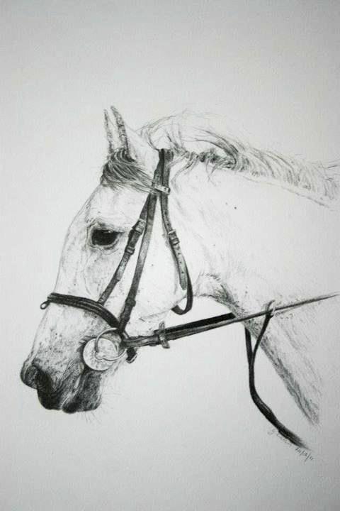 480x720 Sketches - Sketch Artwork