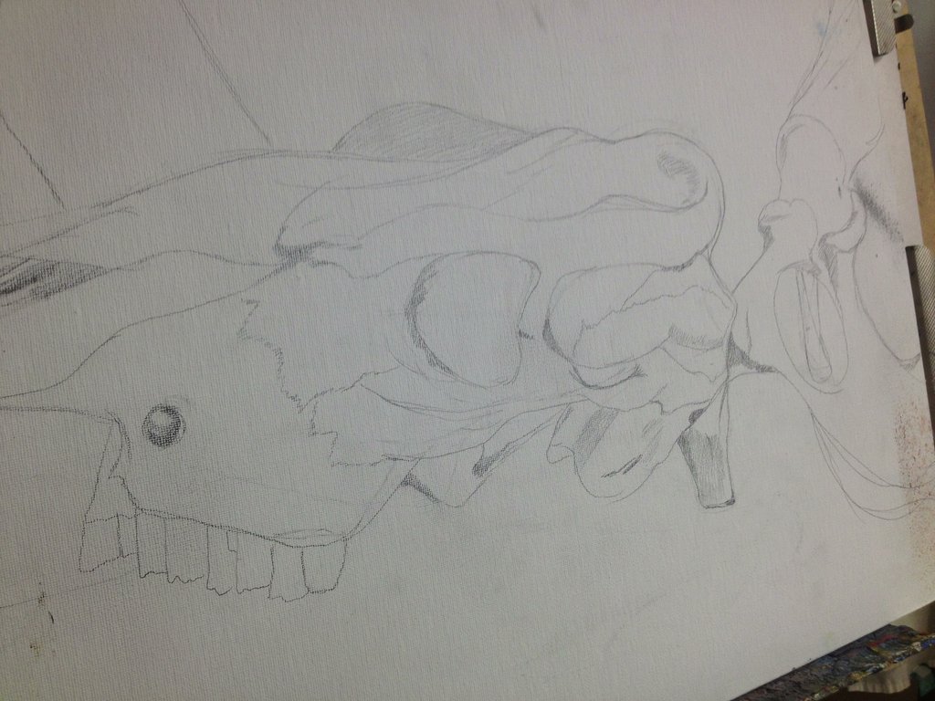 1024x768 The Sketch Before Paint Of My Cow Skull And Bones By Mara Schino - Sketch Before Painting