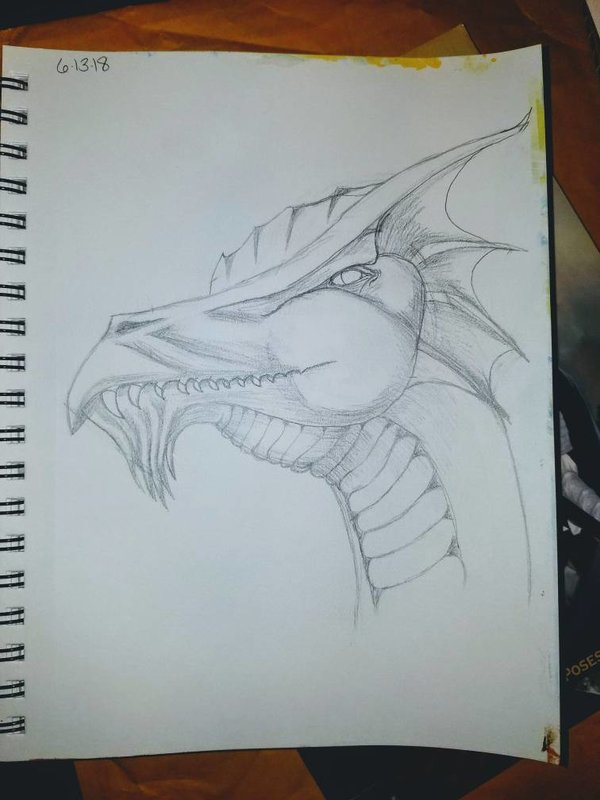 600x800 Dragon Sketch Before Paint By Ladyxenigma - Sketch Before Painting
