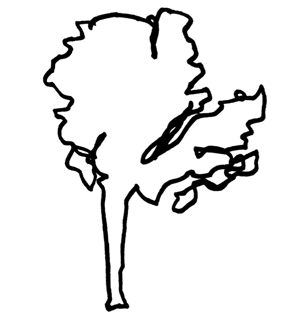 300x327 Sketch Things Better With The 7 Ways Of Seeing Kate Rutter Medium - Sketch Better