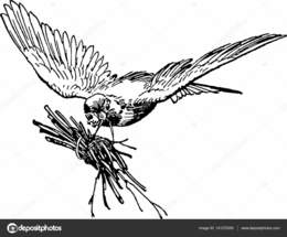 260x215 Download Bird Flying Vintage Drawing Clipart Bird Sketch Bird - Sketch Bird Flying