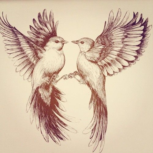 500x500 Flying Bird Drawing By Linn Warme Tattoo Inspiration - Sketch Bird Flying