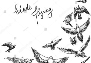300x210 Pencil Sketch Of Flying Birds Birds In Flight Drawing At - Sketch Bird Flying