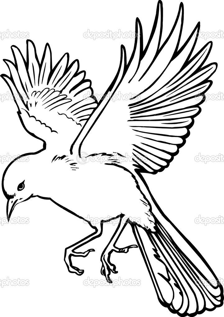 721x1023 Bird Flying Illustration Stock Images - Sketch Bird Flying