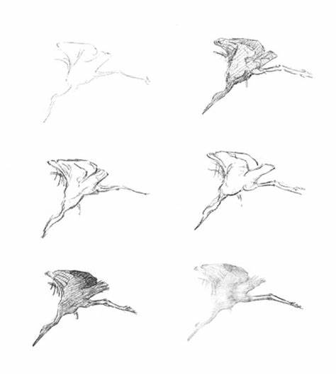 474x530 Bird Flying Drawing Sketch. How To Draw A Bird Step By Step - Sketch Bird Flying