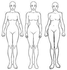 236x245 Images For Gt Female Human Body Outline Front And Back Things To - Sketch Body Outline